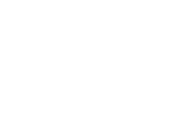 Spaceshower